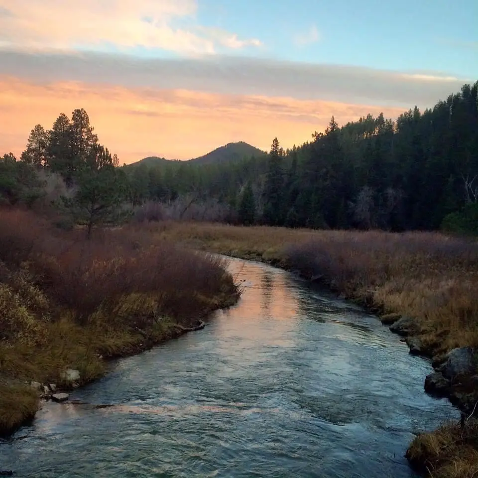 Finn Provisions | Guided Fly Fishing Spearfish Canyon, SD