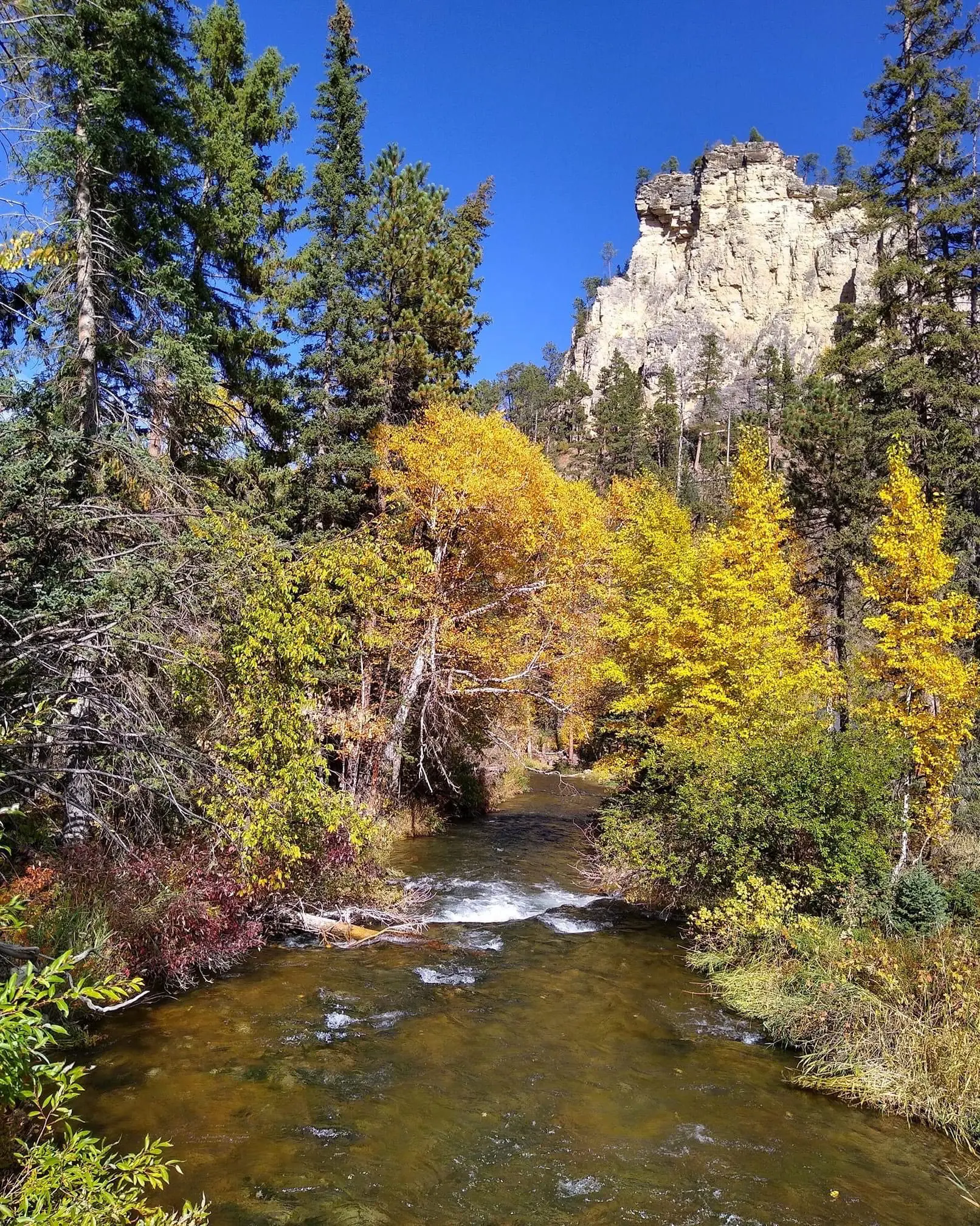 Spearfish Creek